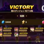 闇のダンジョン ルシェン×2でBEST TIME更新