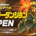 風ドリアード ヒーローダンジョン クリアメンバー