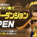 風ブーメラン戦士 ヒーローダンジョン クリアメンバー