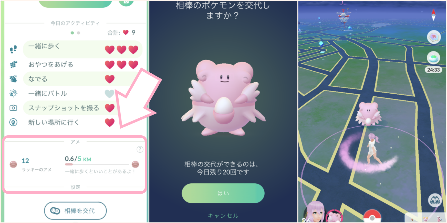 相棒ポケモン連れて歩く